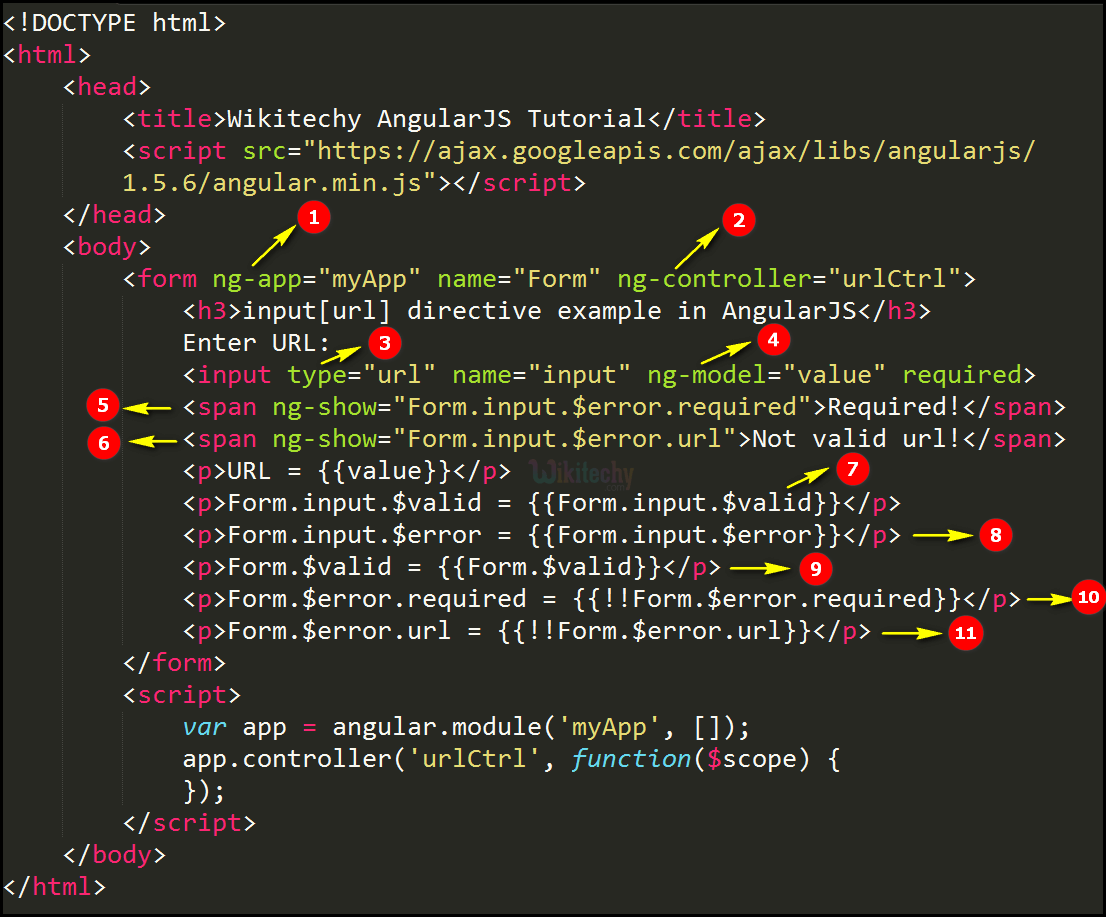Code Explanation for AngularJS Input URL