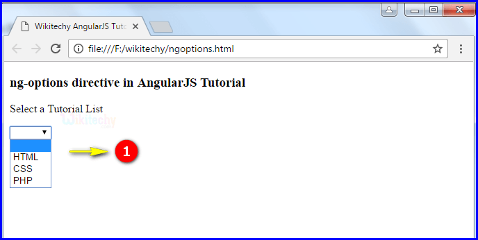 Sample Output for AngularJS ngoptions