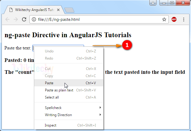 Sample Output for AngularJS ngpaste