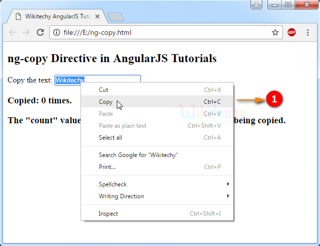 Sample Output1 for AngularJS ngcopy