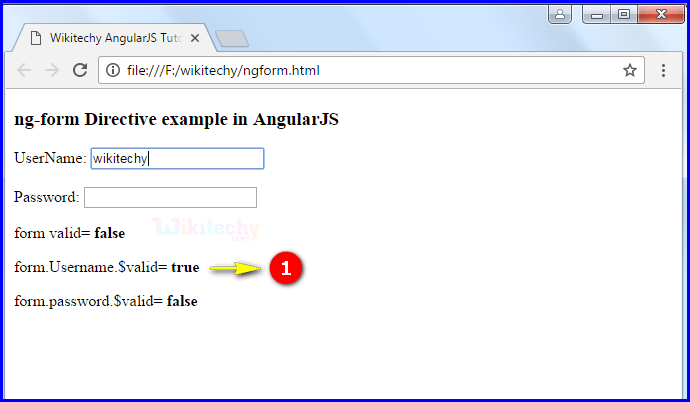 Sample Output2 for AngularJS ngform