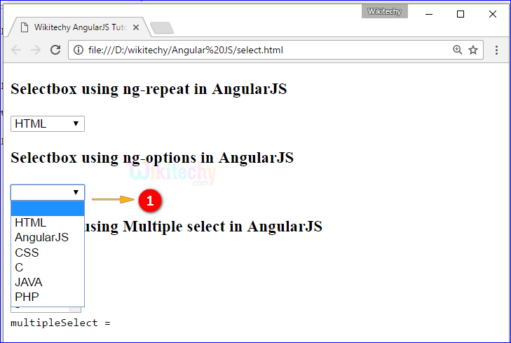 Sample Output for AngularJS select Directive