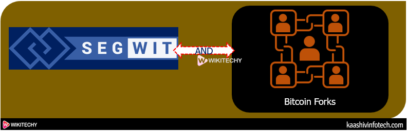  Bitcoin Forks and SegWit