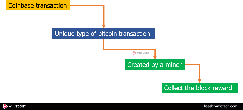  Coinbase Transaction
