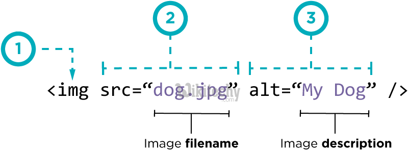 html tutorial -  lerne html - html css - css html -  css - javascript - ajax -  ajax codein  - image tag 
  - html Beispiel -  HTML Quelltext - 
html Probe -  HTML Quelltext - Webseite
