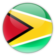 Guyana Flag