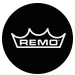 Remo Software Interview Online Videos