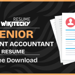 senior accounts assistant cv