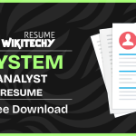 accountant and system analyst resume