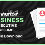 business executive resume