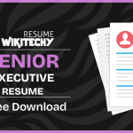 senior executive resume