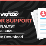 Professional Chief Engineer CV Example support analyst resume