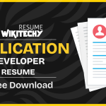 Application Developer Resume Samples