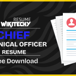 Chief Financial Officer Resume Samples Chief Technical Officer Resume Sample