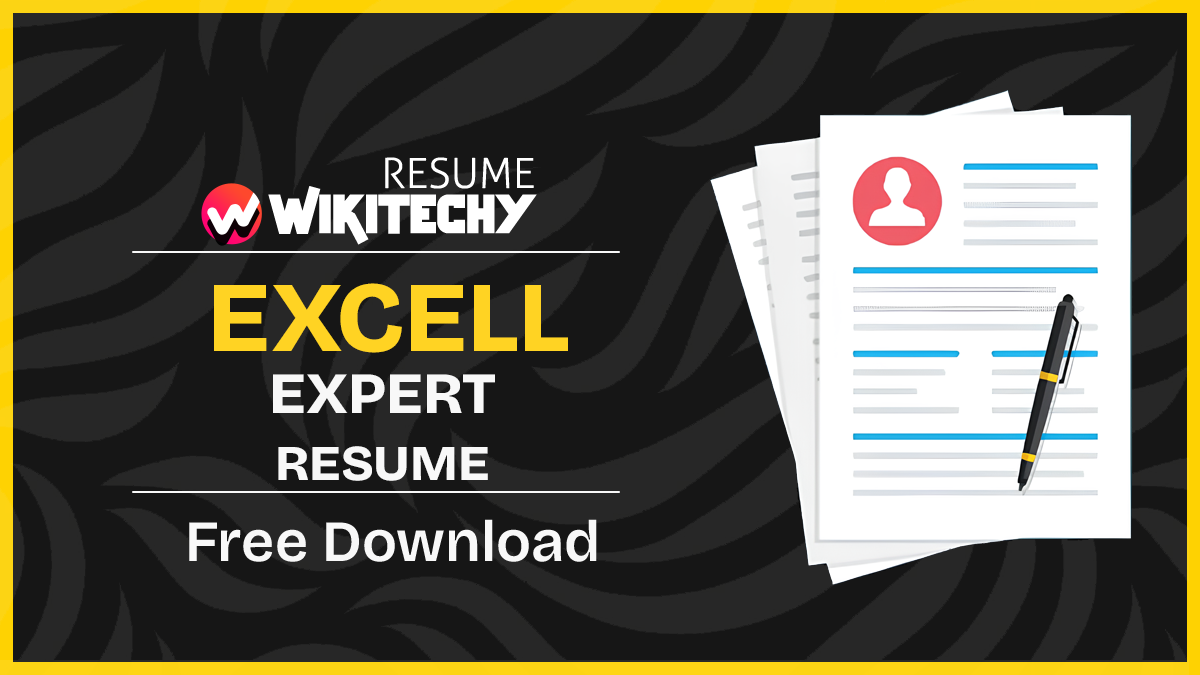 Sample Resume Format for Excel Expert