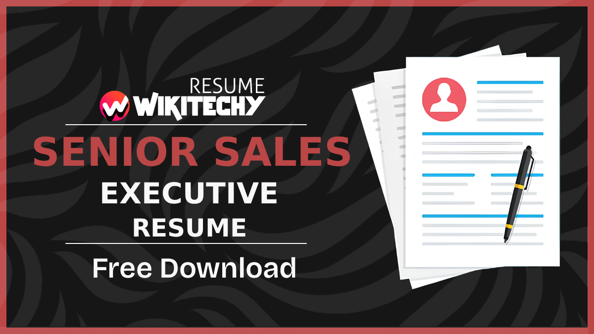 Senior Sales Executive Resume Samples Senior Sales Executive Resume