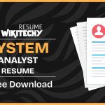 system analyst resume