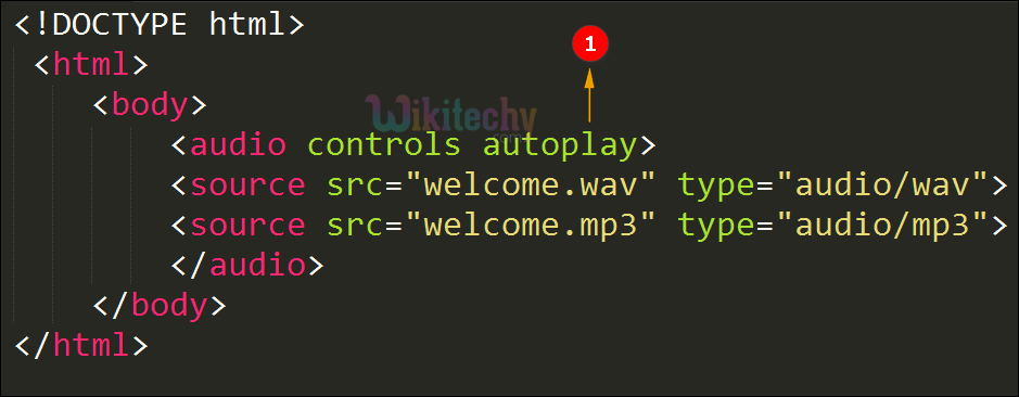 autoplay Attribute Code Explanation