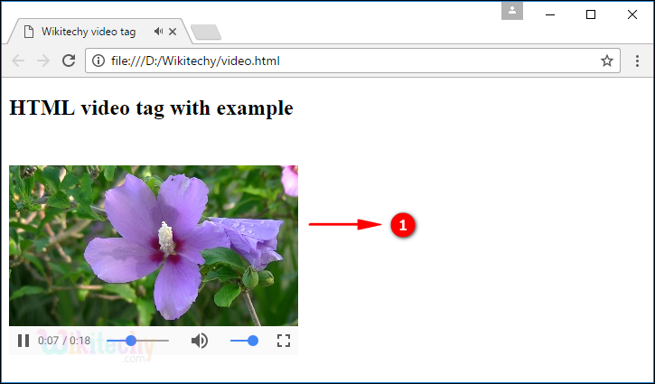 <video> Tag Output