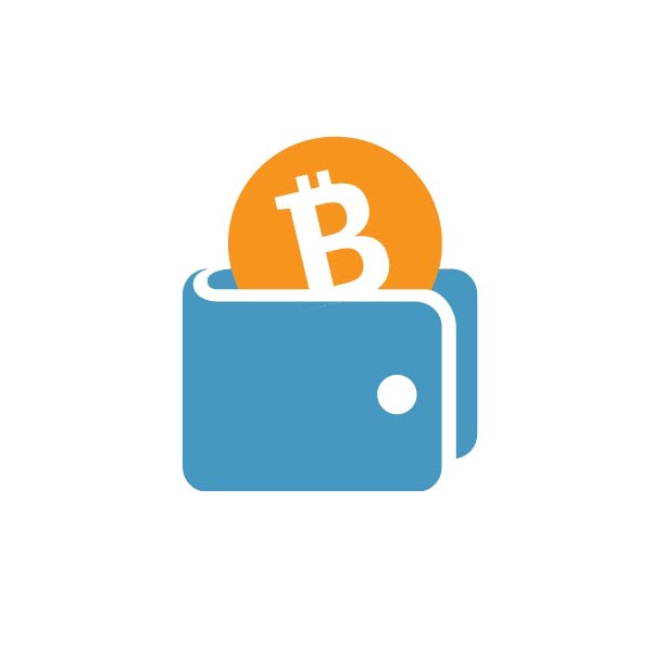 4 Different Types of Bitcoin Wallets