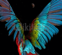 Download LG K10 Stock Wallpapers Full HD