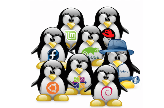 10 Linux Distros You Should Know About