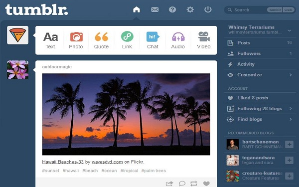 7 Best Tumblr Alternatives - Internet - From social networking services to instant messaging apps, to video sharing websites, there are many means by