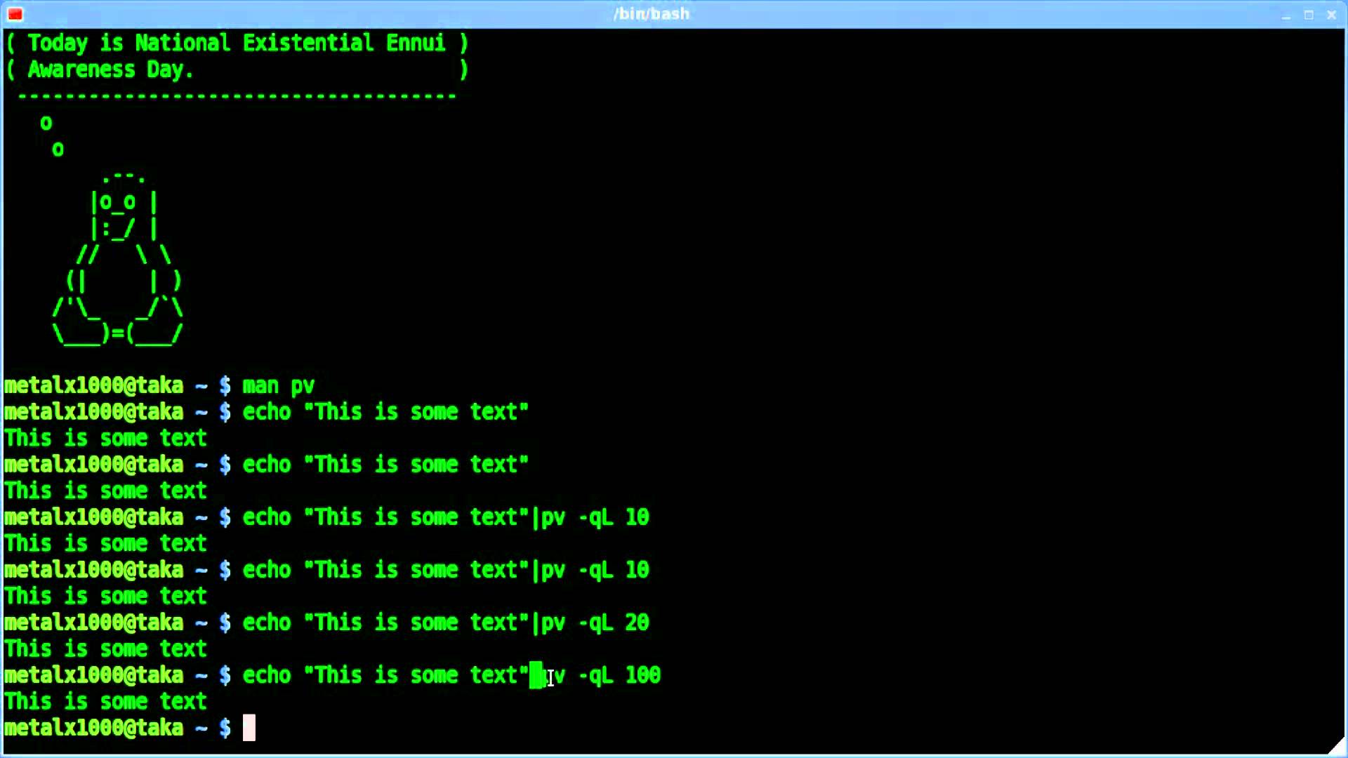 Terminal scripting. Оболочка Bash в Linux. Оболочки Bash Linux терминал. Командная оболочка Linux. Bash язык программирования.