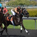 offshore betting , sports betting , betting sites , mobile gambling sites , online gambling , mobile gambling apps , mobile sports gambling