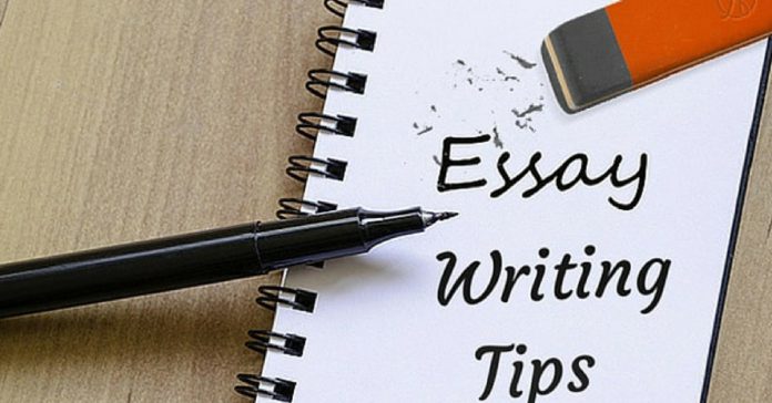 Most useful essay writing tips