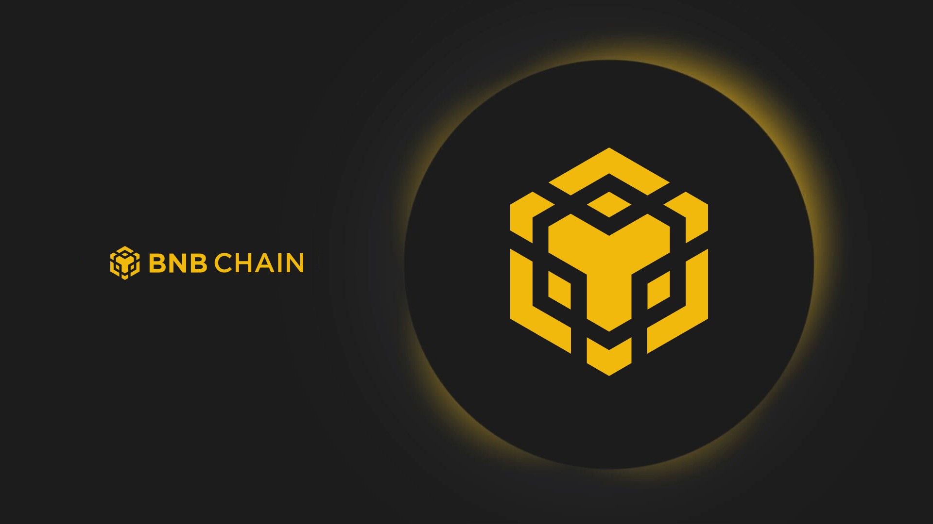 A Comprehensive Guide To The BNB Chain For Beginners