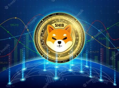 As the SHIB price explodes, these hidden Gems might 10x  