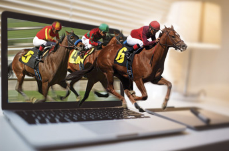 How To Build the Ultimate Horse Betting Site – 5 Essential Tips