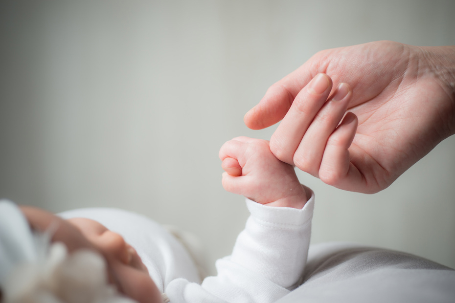 Does the family health insurance plan provide coverage for newborns