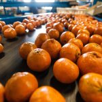 Tips for Measuring Sales Effectiveness Optimizing the Product Development Life Cycle