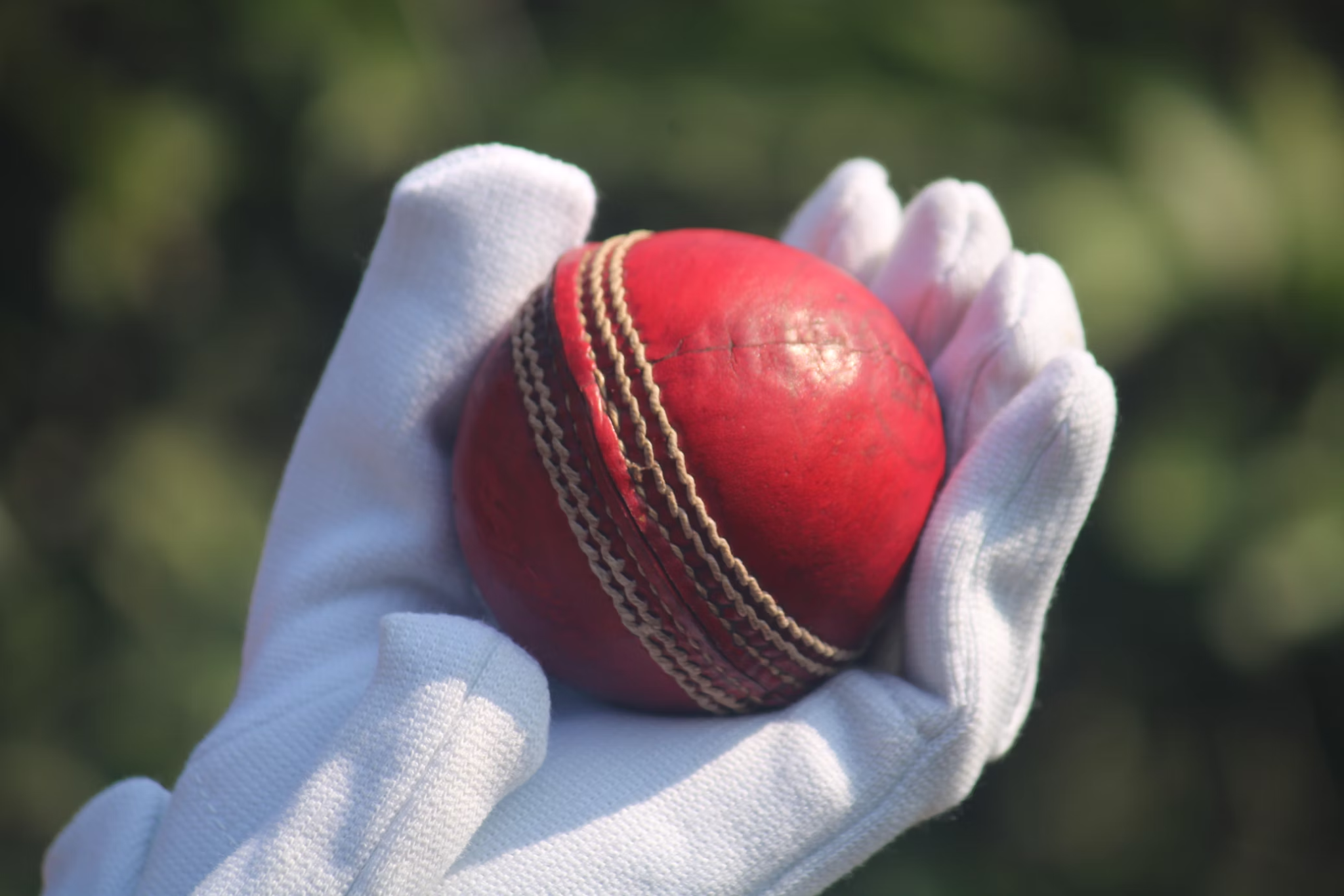Cricket in Your Pocket: How Apps Bring the Pitch to Every Fan