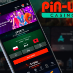 Pin-Up App vs Website – Which Is Better for Indian Players?