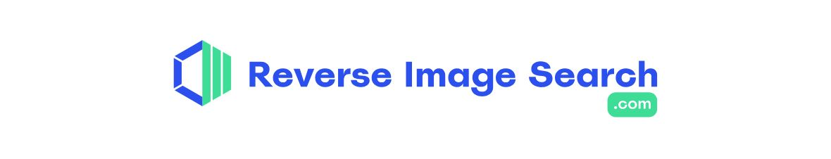 Best Reverse Image Search Tools and How to Use Them