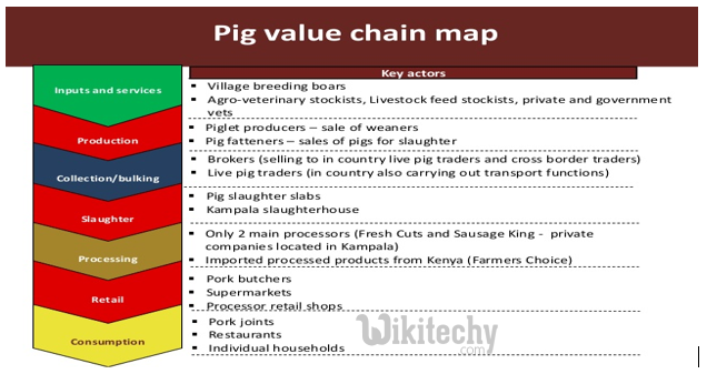 How to get the value for a variable key from a pig map