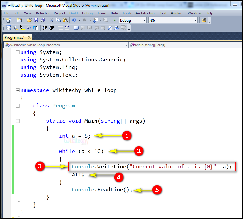  C while loop structure