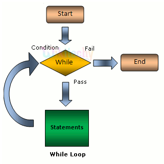    C while loop