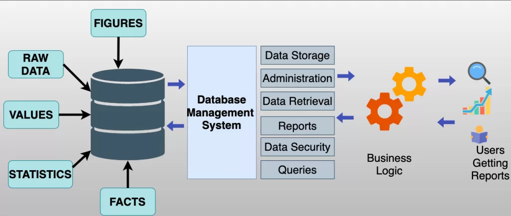 difference between database and dbms
