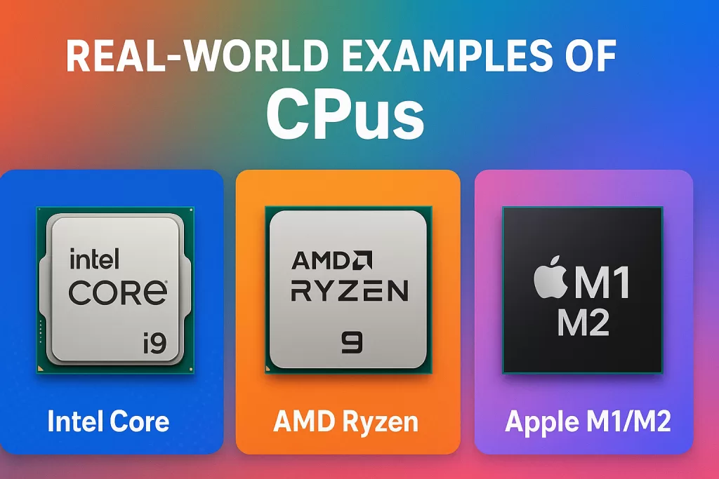 What is cpu