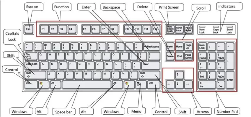input devices
types of input devices
input devices examples
function of input devices
what is an input device
input devices in computer