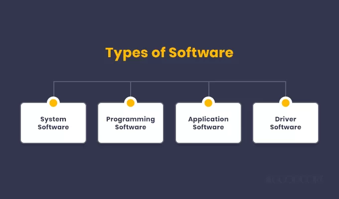 Types of Software in Computer: Full Guide with Examples