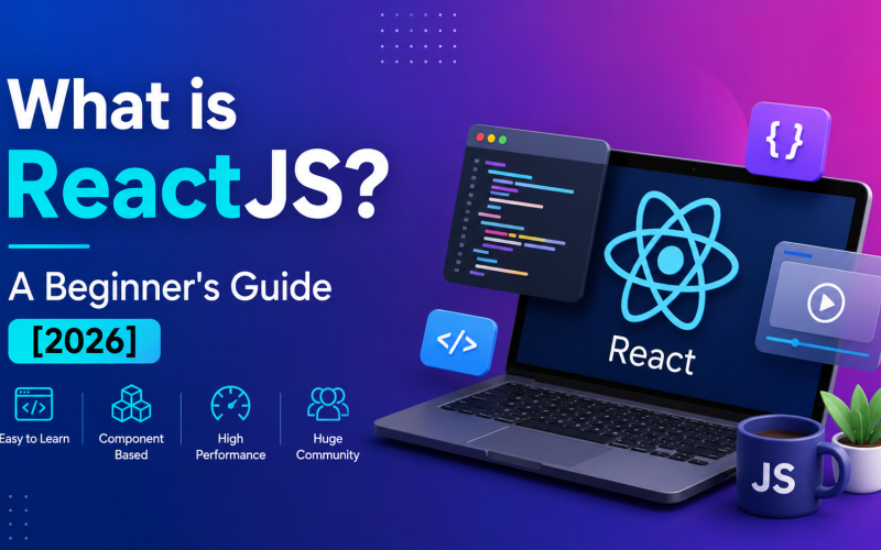 What is ReactJS A Beginner's Guide [2026]